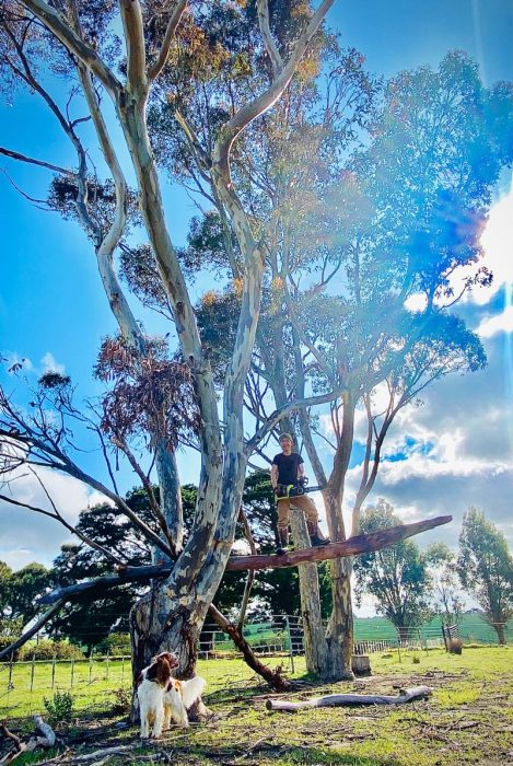 Li Ping Thong standing in a tree with a chain saw.