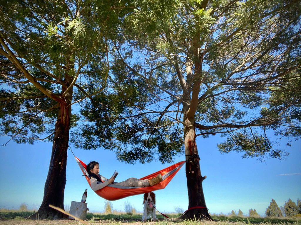 Li Ping Thong in an orange hammock, reading a book at the farm whilst her dog sits underneath it.
