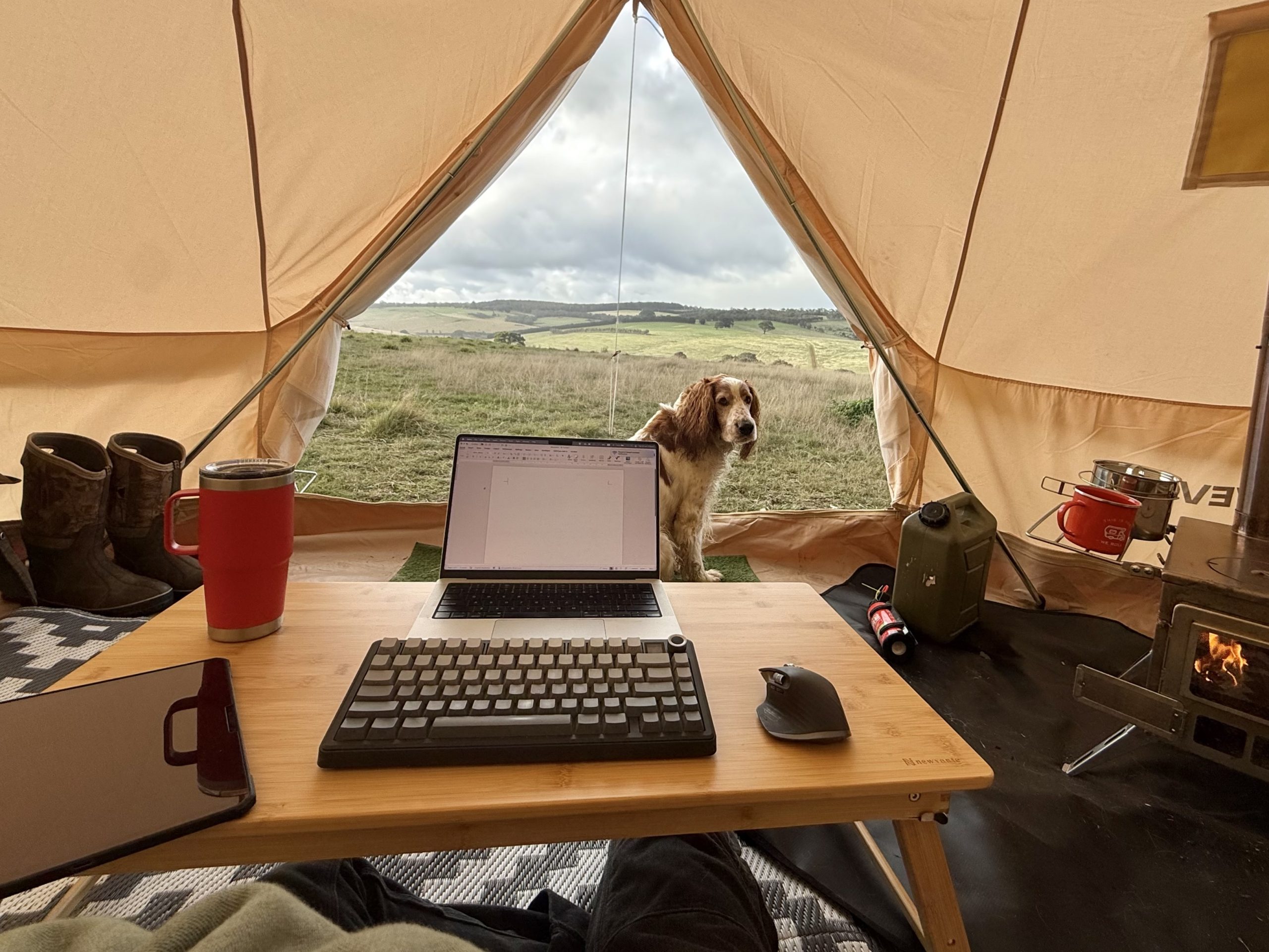 View from tent showing work setup facing the paddocks
